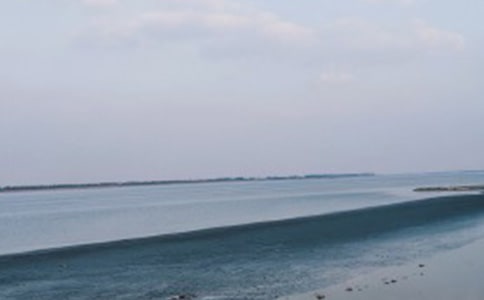 ���҂�����ȥ���x��У�ͨ��17ƪ��