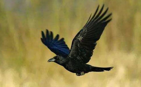 ����(j��ng)�䡿���f��ˮ����15ƪ