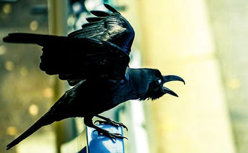 ���͞��f�����ӡ��x���