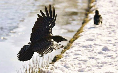 �����f��ˮ���x���