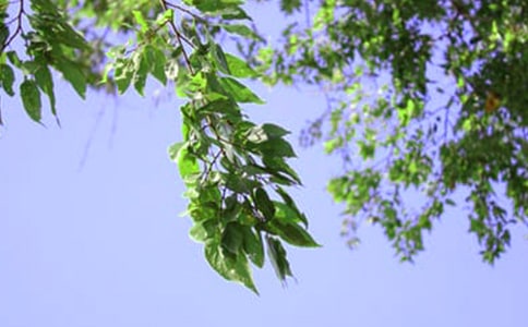 �P(gu��n)������Ȧ�簲�f(shu��)�f(shu��)��ȫ50��