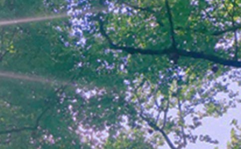 ��(j��ng)��Ψ���簲�f�f40��