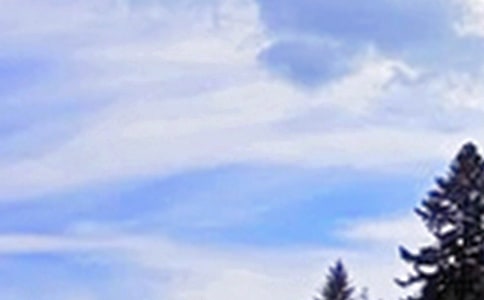 ���õ��簲�����Z����39��