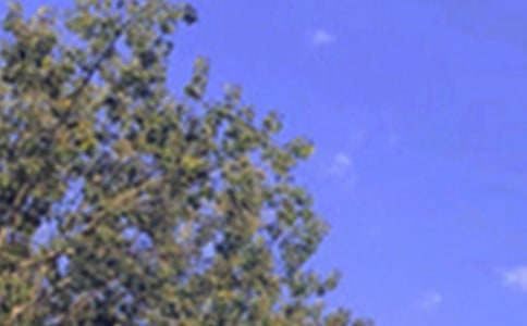 2024���簲���Z���ż��\63��