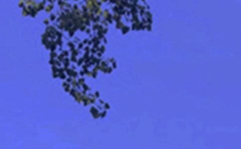 �簲���Z���̎��c��Ĭ