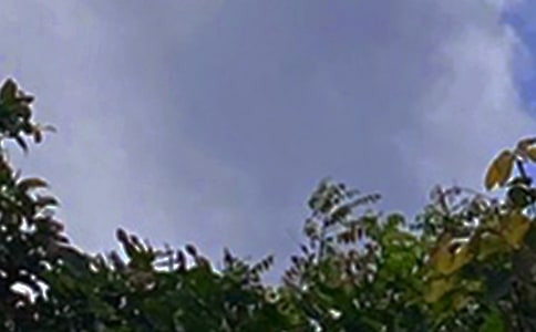 ���õ��簲�����Z�����\��84�l