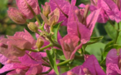 ��ů���簲�����Z����ժ�60�l