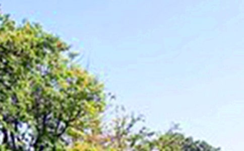 暖心午安短信大全50句精選