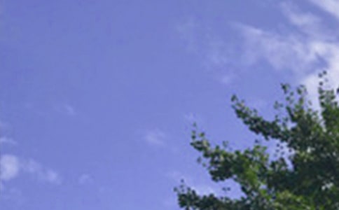 ��(l��)־�簲���ţ����x30�䣩