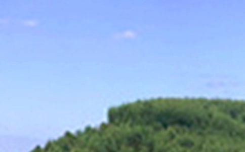 ÿ��һ���簲���Z����84�l