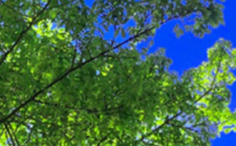 ů���簲���Ŵ�ȫ�����x70�䣩