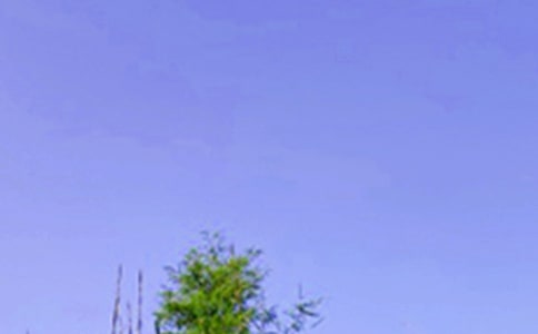 �簲���Z����