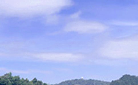 2025������ϵ�簲���Z�����\��52��