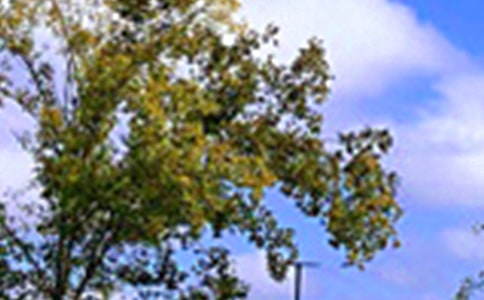 �P(gu��n)�������簲�f�f�����x40�䣩