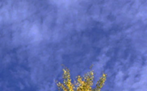 ����ϵ�簲���Z(y��)����35�l