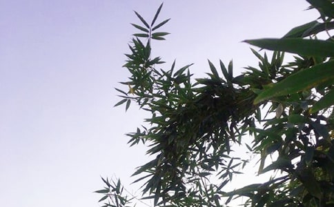 �P�������簲�f�f70�侫�x