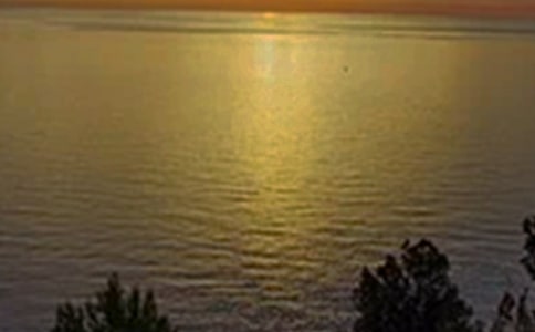 2026��Ψ�����簲���Z�����\��44��