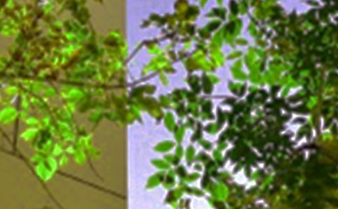 �����簲�f�f��ͨ��40�䣩