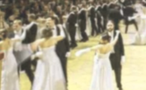 ɭ���������