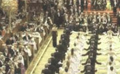 ɭ���������