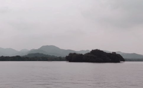 �茑������Ԋ(sh��)�䷶��(15ƪ)