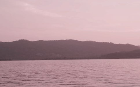 �������g����