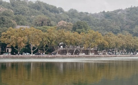 �茑���������ă�(y��u)��Ԋ��