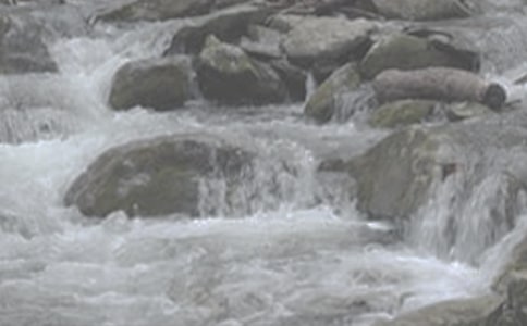 СϪ���ĸ��x���