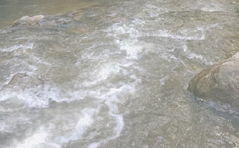 小溪流的旅行作文