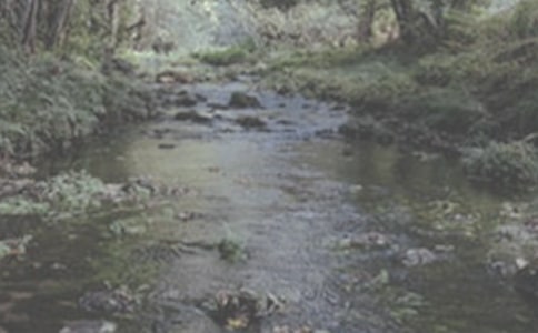 СϪ���ĸ�����