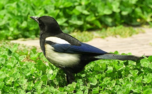 ���꼉(j��)�������ϵ�ϲ�o����