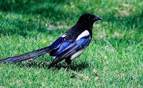 ϲ�o������12ƪ[��]