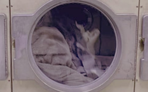 ��һ��ϴ�·����ģ����x37ƪ��