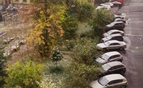 �m����ѩ�l(f��)��Ψ���f(shu��)�f(shu��)