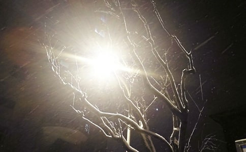 ��ѩΨ���f�f