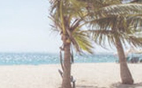 �ļ��P(gu��n)�ц���ף������