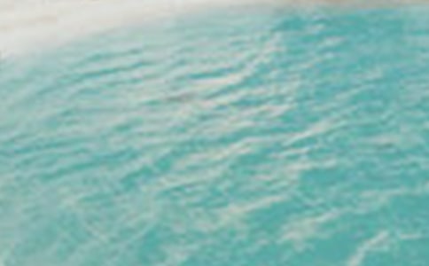 �ļ�ů��ף������