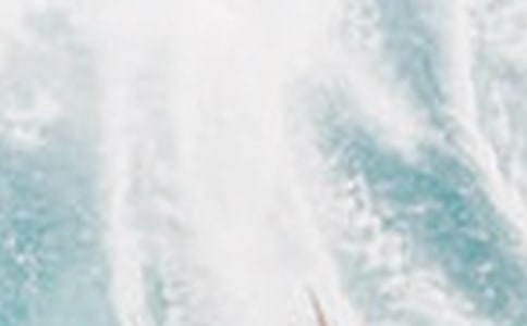 夏季驅(qū)蚊的小妙招