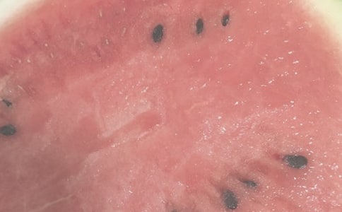 ������ĩ�옷ף������