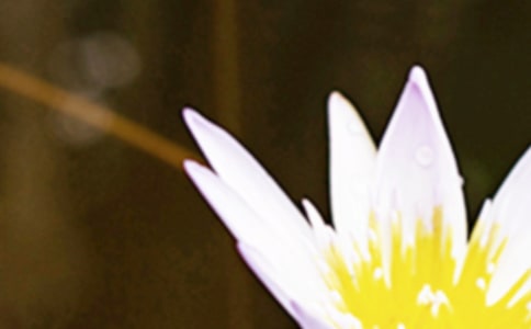 夏至節(jié)氣諺語(yǔ)130句