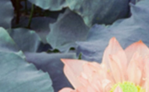 �������Ń�(y��u)�x