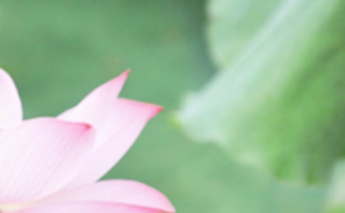 描寫夏至的唯美詩句