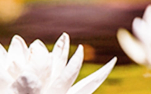 �����B(y��ng)�� ����?x��)r��(ji��)���񲻿���