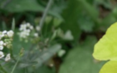 �����������V�Z(y��)