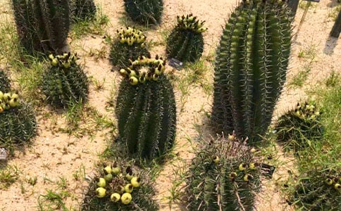 ����������(���])