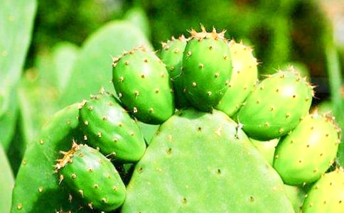 �����Ƶ��B(y��ng)�o(h��)������ʲô