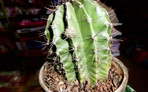 ����������(��(y��u)�x)