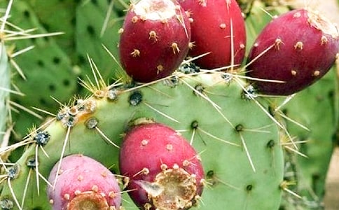 ����������