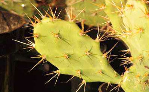 ���؂䡿����������15ƪ