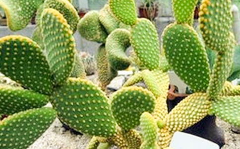 ����(j��ng)�䣩����������